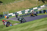 Green Bikes